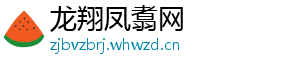 龙翔凤翥网	